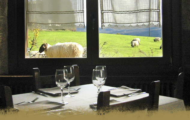 Vista de ovejas desde el comedor de Alai Taberna