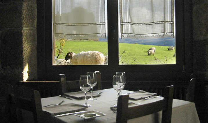 Vista de las ovejas desde el interior de Alai Taberna